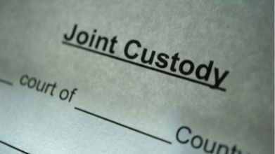 Custody Document